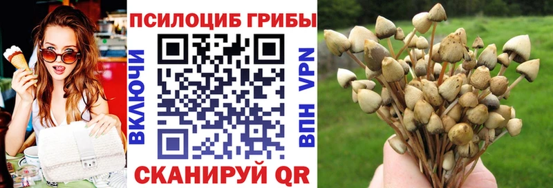 Псилоцибиновые грибы Cubensis купить наркотик Пикалёво